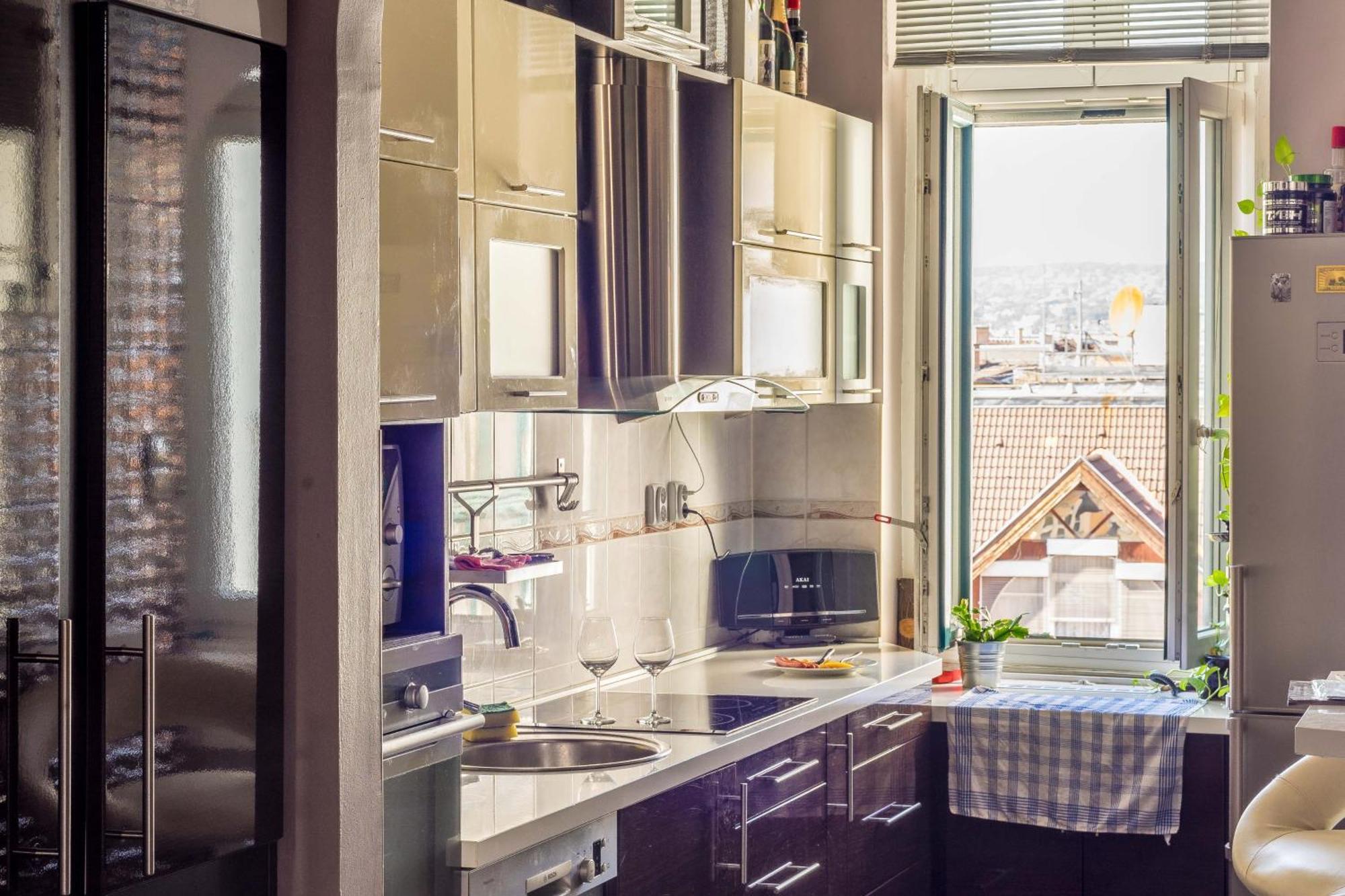 Opera Panoramic Penthouse Apartmán Budapest